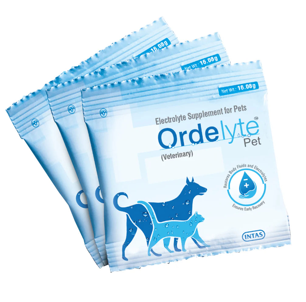 Intas Ordelyte Powder Electrolyte Suppement for Dogs and Cats