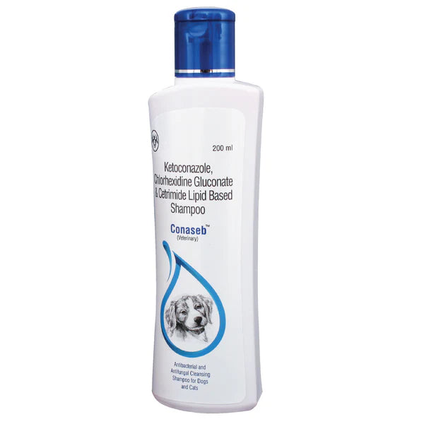 Intas Conaseb Antibacterial Antifungal Shampoo (200ml) and Intas Kiskin Lotion (100ml) Combo
