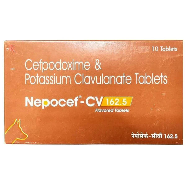 Ttk Nepocef CV 162.5mg (Cefpodoxime Proxetil & Potassium Clavulanate) Tablet for Dogs and Cats