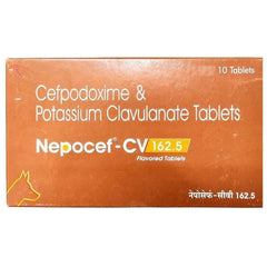 Ttk Nepocef CV 162.5mg (Cefpodoxime Proxetil & Potassium Clavulanate) Tablet for Dogs and Cats
