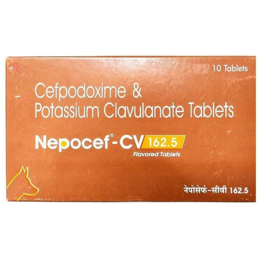 Ttk Nepocef-CV 162.5mg Tablet for Dogs and Cats