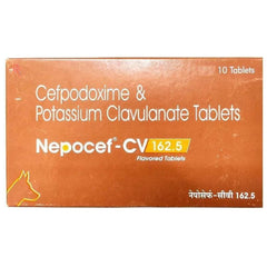 Ttk Nepocef-CV 162.5mg Tablet for Dogs and Cats