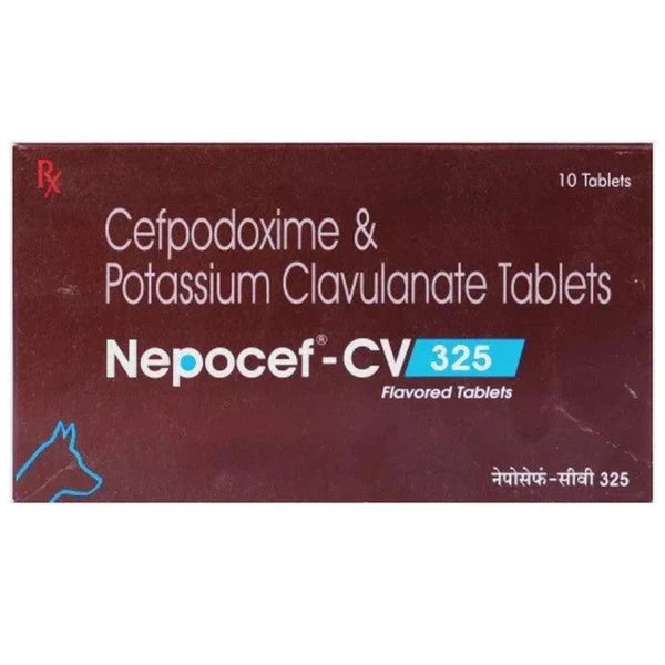 Ttk Nepocef CV 325mg (Cefpodoxime Proxetil & Potassium Clavulanate) Tablet for Dogs and Cats