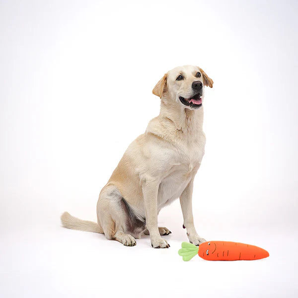 Skatrs Carrot Plush Toy for Dogs and Cats