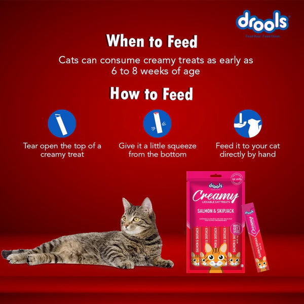 Drools Salmon & Skipjack and Seafood Medley Creamy Cat Treats Combo