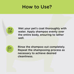 Intas Micodin Shampoo