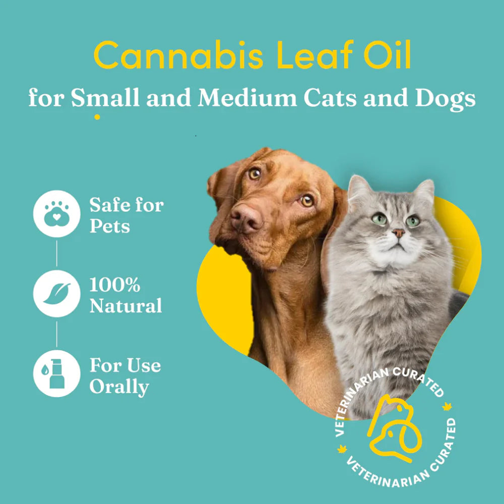 Vedic Tails Mild Cannabis Leaf Oil for Dogs and Cats