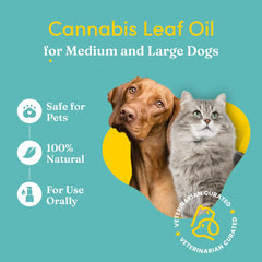 Vedic Tails Strong Cannabis Leaf Oil for Dogs and Cats