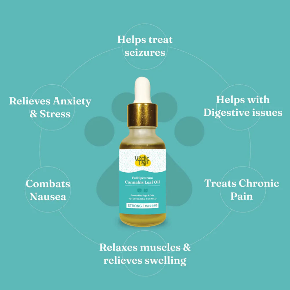 Vedic Tails Strong Cannabis Leaf Oil for Dogs and Cats